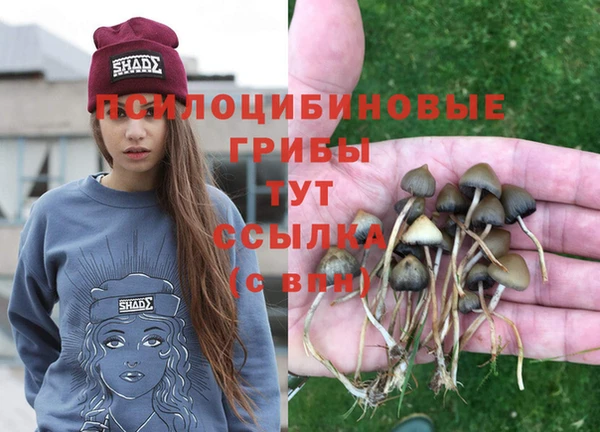 бошки Верхнеуральск