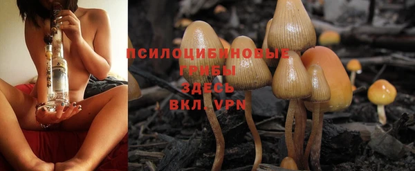 бошки Верхнеуральск