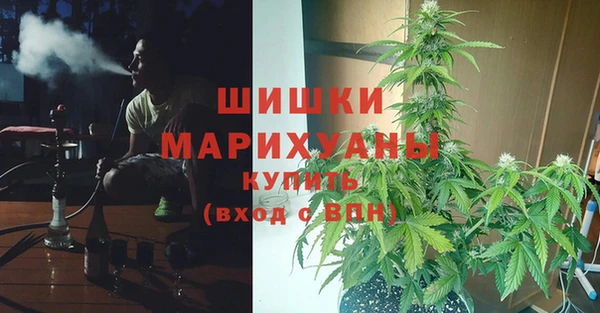МДПВ Верхний Тагил