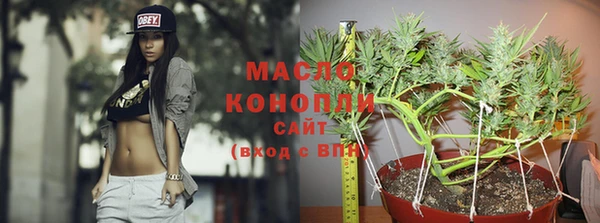 МДПВ Верхний Тагил