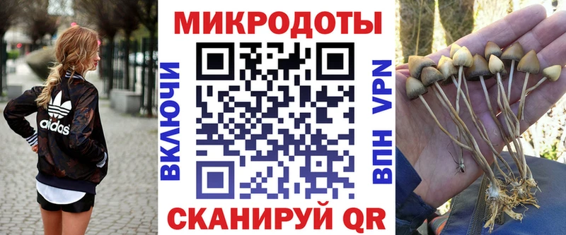 Псилоцибиновые грибы Magic Shrooms  Нестеров 
